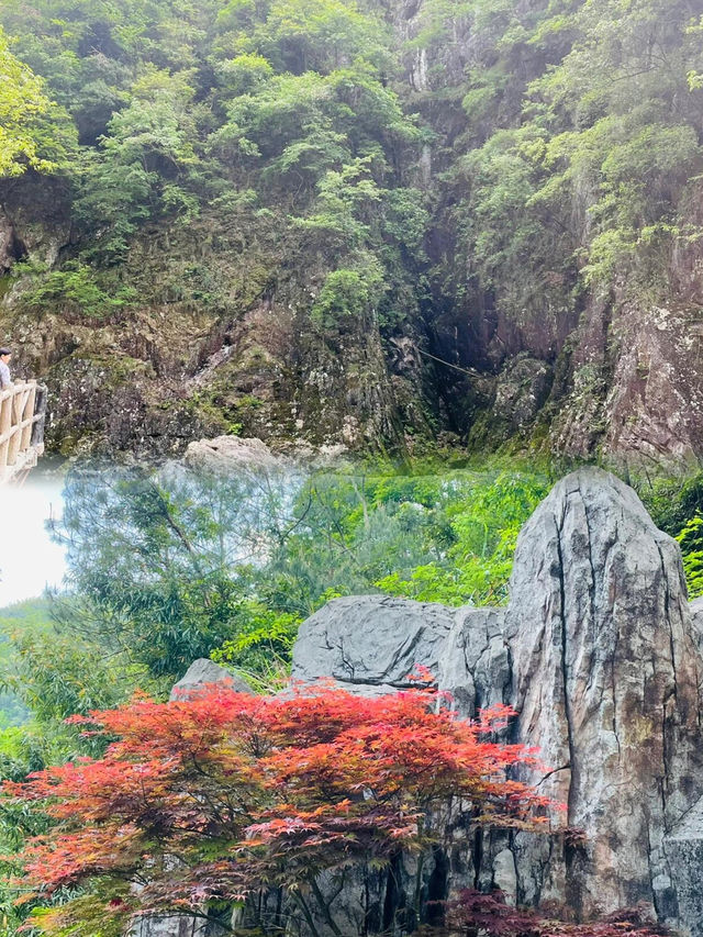 嘩！避暑之旅，老少咸宜嘅寶藏地