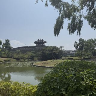 水原適合野餐的景點 