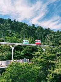 釜山站尾浦膠囊小火車最強攻略