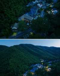 竹林溪澗治癒一切焦慮！大樂之野·莫干山碧塢