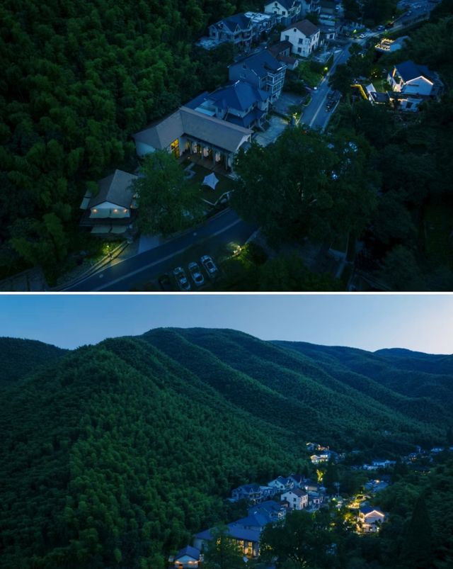 竹林溪澗治癒一切焦慮！大樂之野·莫干山碧塢