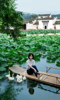 呈坎夏荷記：喺徽州八卦村裡，與一池荷花共生嘅千年時光