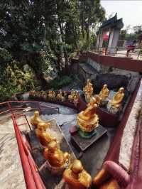 香港の霊峰・獅子山に佇む「万仏寺」の静寂体験】**