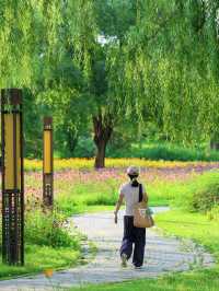 至今為止，鄭州我願意N刷嘅公園出現咗！