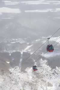 滑雪初體驗必睇！北海道寶藏度假村藏唔住啦
