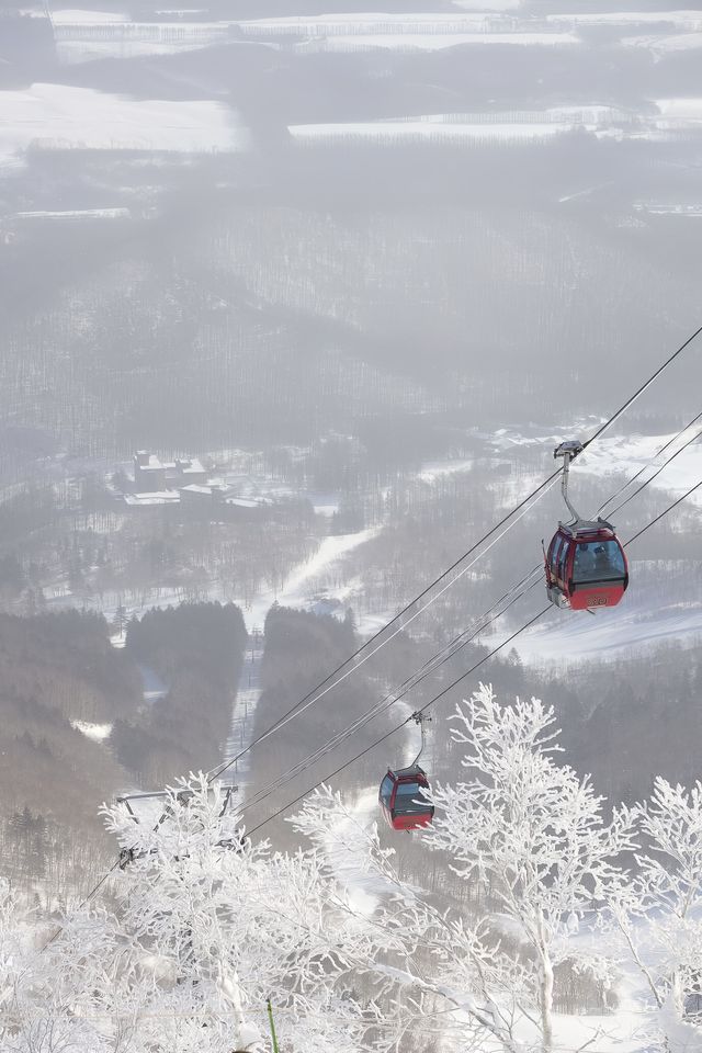 滑雪初體驗必睇！北海道寶藏度假村藏唔住啦