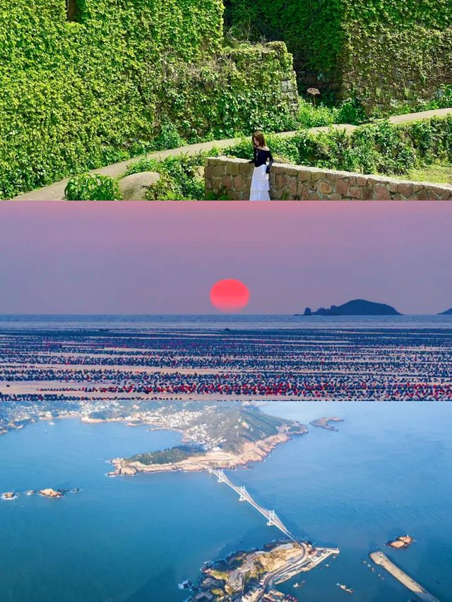 枸杞島真係令人上癮！上海周邊夏日玩水唔好錯過