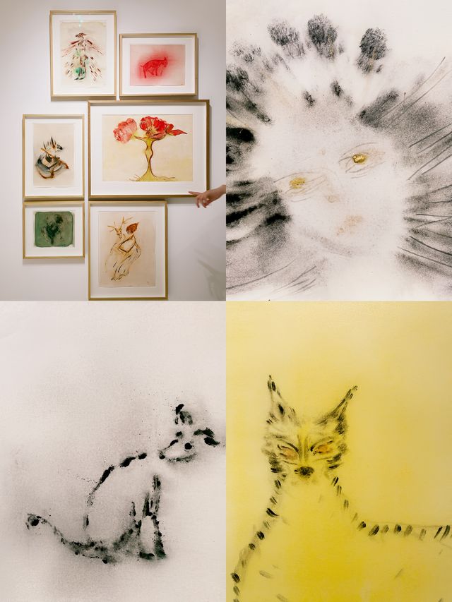 好展合集