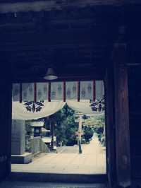 **【穿越千年唐風！上海寶山寺沉浸式體驗記】**  