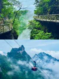 天門山雲海奇觀！張家界必打卡嘅仙境之旅