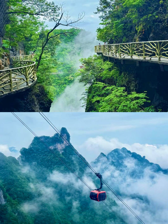 天門山雲海奇觀！張家界必打卡嘅仙境之旅