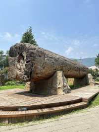China National Botanical Gardens in Beijing!
