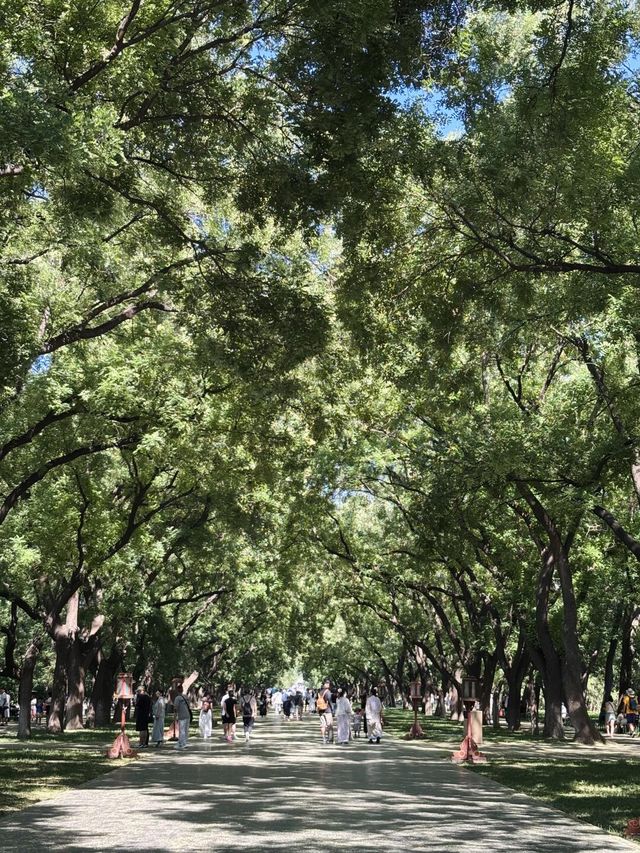 天壇西天門的林蔭道，好美