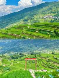 誰說城市沒有綠洲？這片「小綠洲」係打工仔最後嘅呼吸權！
