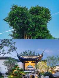 泉州好靚，但唔建議7-8月去。
