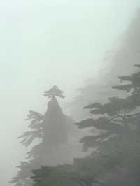 安徽黃山