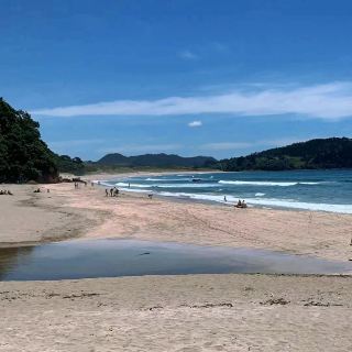 Cathedral Cove Travel Guide: A Natural Wonder of the Coromandel Peninsula
