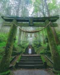 被低估嘅九州，日本小眾寶藏旅行地