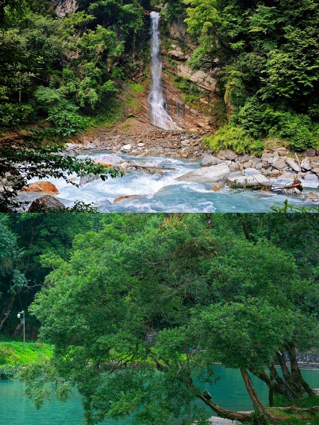 從38℃逃進森林嘅我,只想留喺度唔走 從38℃逃進森林嘅我,只想留喺度唔走