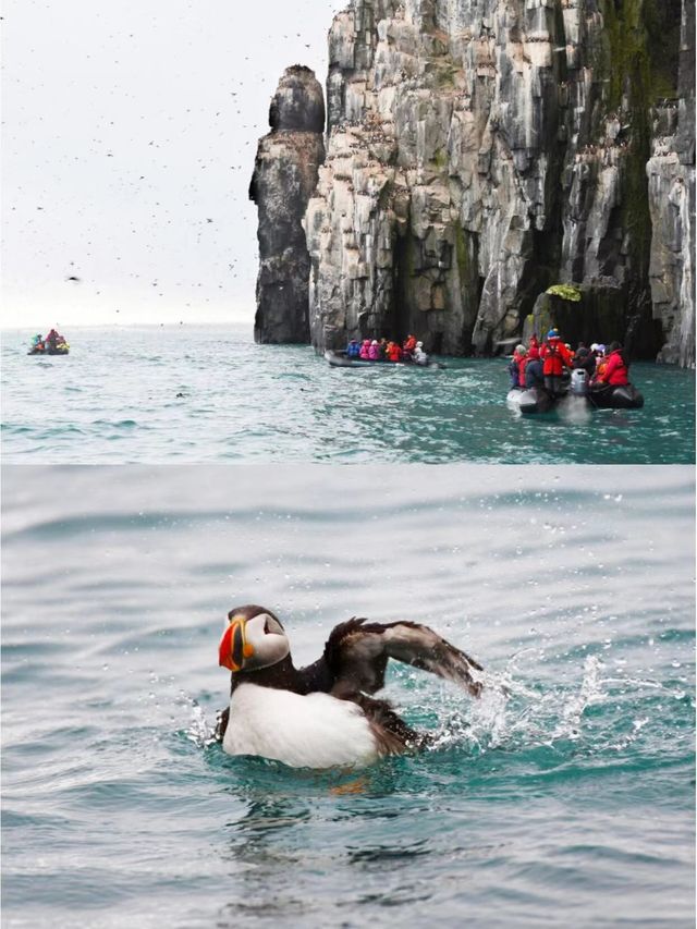 北極探險旅行，抵達3000頭北極熊的國度