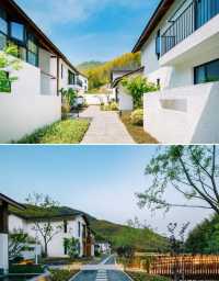 安吉·聽澗山川 住進山谷溪澗環繞嘅竹海民宿