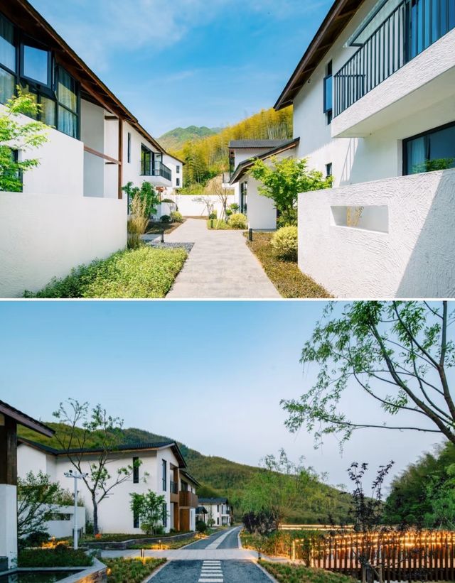 安吉·聽澗山川 住進山谷溪澗環繞嘅竹海民宿