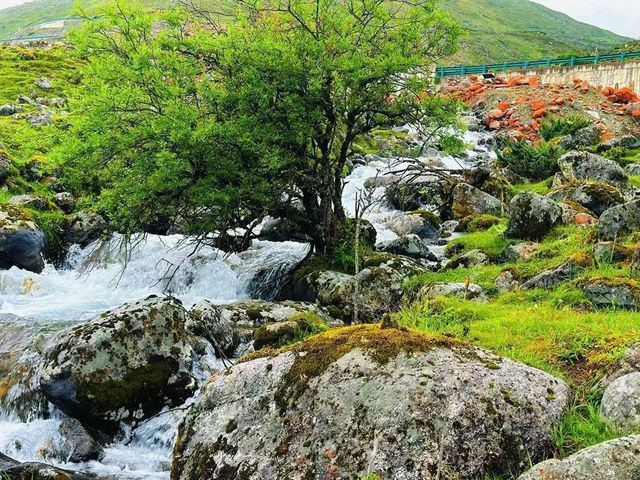 邂逅山海，奔赴川西 | 海螺溝、磨西古鎮、榆磨路旅遊攻略