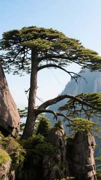 一場破霧而出的日出，會照亮你一生的勇氣，美麗黃山歡迎您！