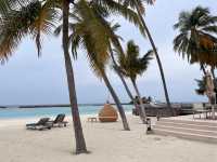 Unforgettable Honeymoon at Veligandu Resort