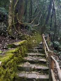 小眾秘境 | 玉溪石門峽深度遊玩攻略：解鎖哀牢山的清幽與壯闊