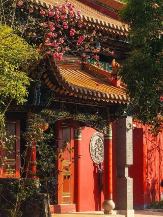 This weekend at Xingtai Zefeng Ecological Park! 200 stunning photos + a complete guide to food, entertainment, and lodging, including 5 hidden gems nearby.