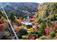 六甲山、摩耶山空中兜風賞楓葉之旅
