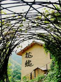國慶反向遊｜松陽2日小眾路線攻略人少景美還不快碼住！