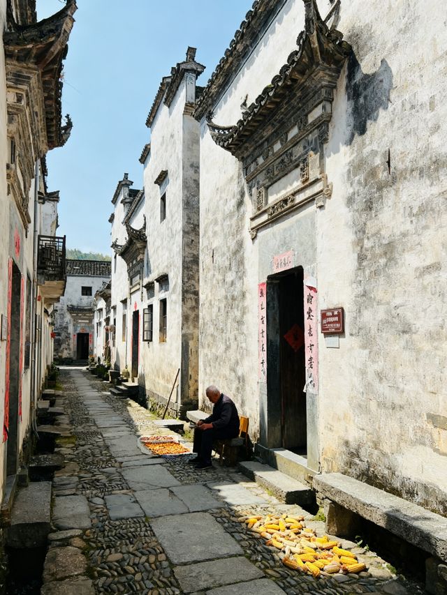 趙麗穎同款仙俠秘境！浙江縉雲仙都保姆級攻略，三步拍出古風大片