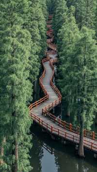 杭州青山湖必去打卡地