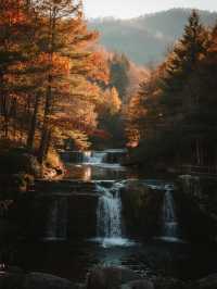 蛟河紅葉谷賞秋攻略 百里紅葉長廊，東北最狂野秋色曝光！​​