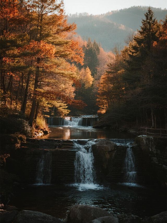 蛟河紅葉谷賞秋攻略 百里紅葉長廊，東北最狂野秋色曝光！​​