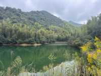 野放的一家|青山村徒步
