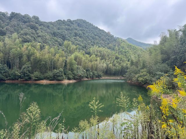 野放的一家|青山村徒步