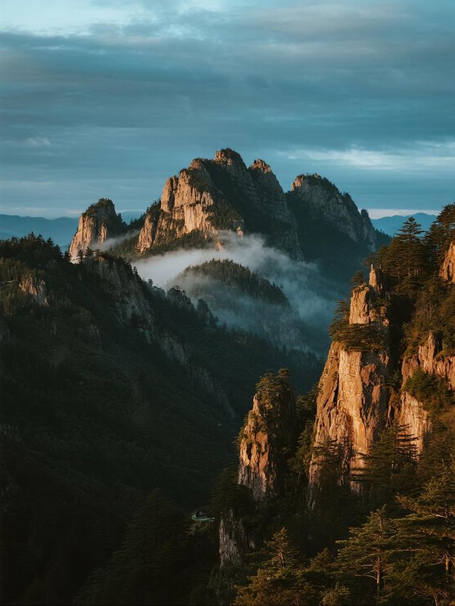縉雲山秋日親子研學：漫步古道尋蹤，探秘森林學校的自然課堂
