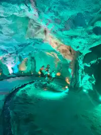 帶娃勇闖花果山!一日遊全攻略+避坑指南