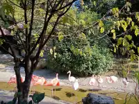 逃離上海，來太湖龍之夢過週末啦