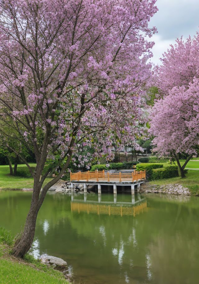 【大鐘山公園超全旅行攻略】闖入賀州「城市綠肺」! 【大鐘山公園超全旅行攻略】闖入賀州「城市綠肺」!