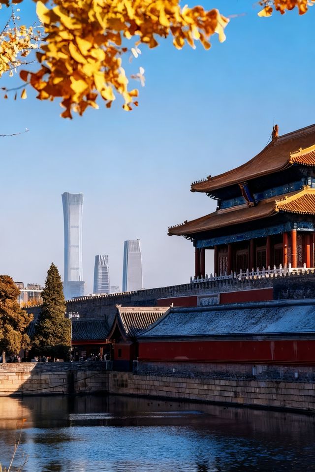 北京的秋天是中式美學的巔峰之作！！