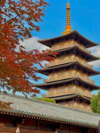 上海嚴重被低估的小眾寺廟…好像在京都|||