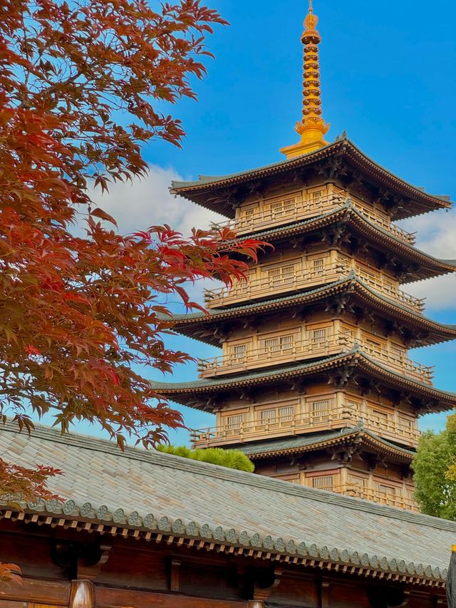 上海嚴重被低估的小眾寺廟…好像在京都||| 上海嚴重被低估的小眾寺廟…好像在京都|||