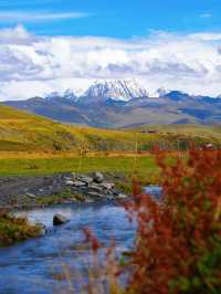 川西小環線親子友好不塞車路線