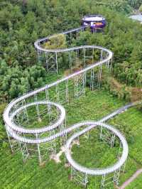 11月的下渚湖，是秋天最治癒的打開方式！