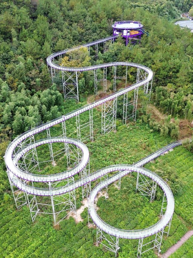 11月的下渚湖，是秋天最治癒的打開方式！