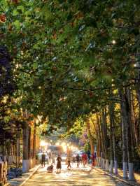 青島秋冬:闖進漫畫裡的治癒幀